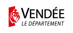 Réflexion stratégique sur le déploiement d’une solution numérique