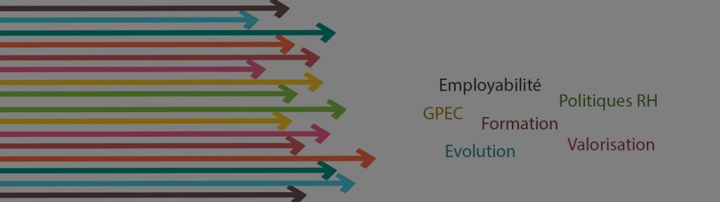 Lignes Directrices de Gestion (LDG)