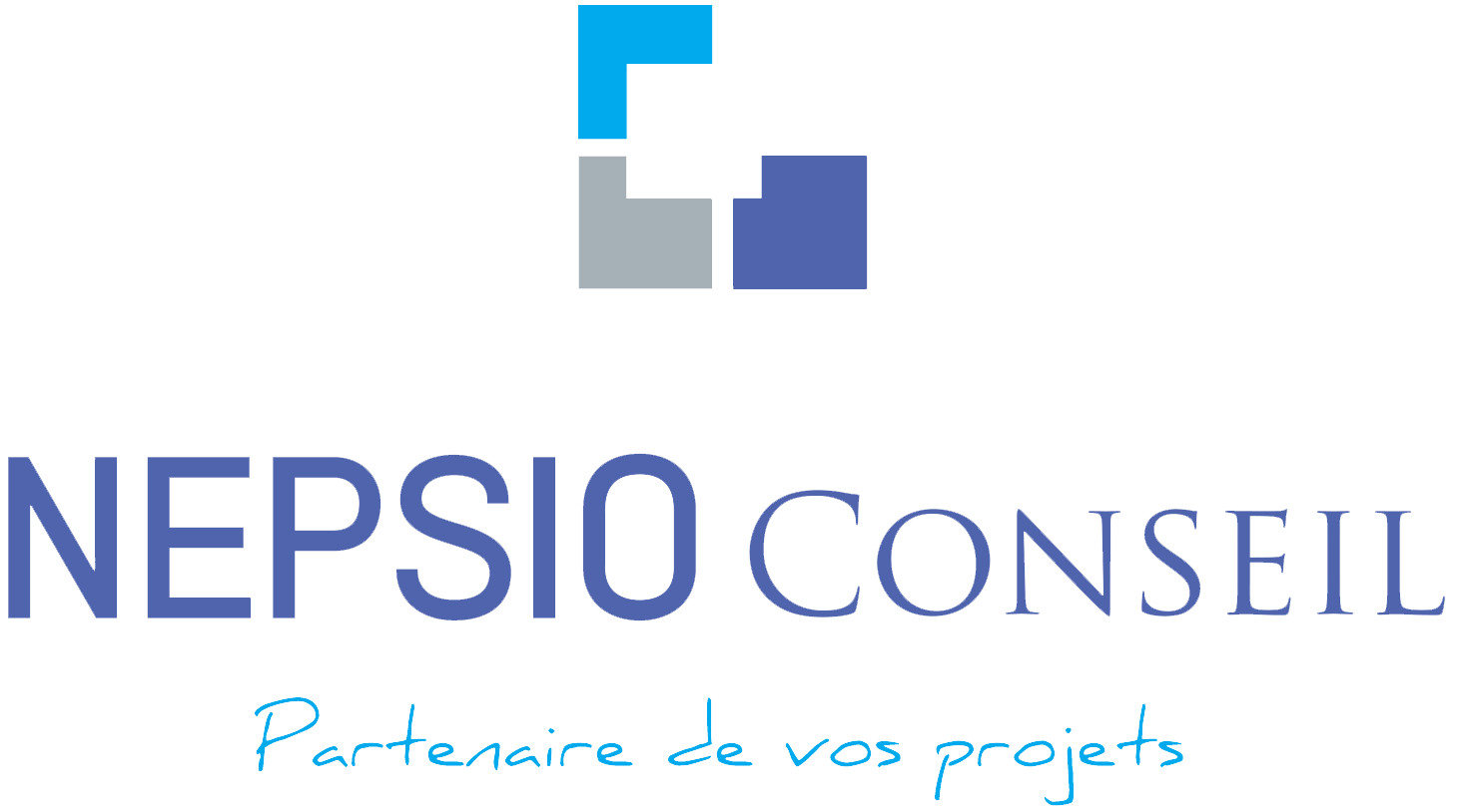 NEPSIO Conseil